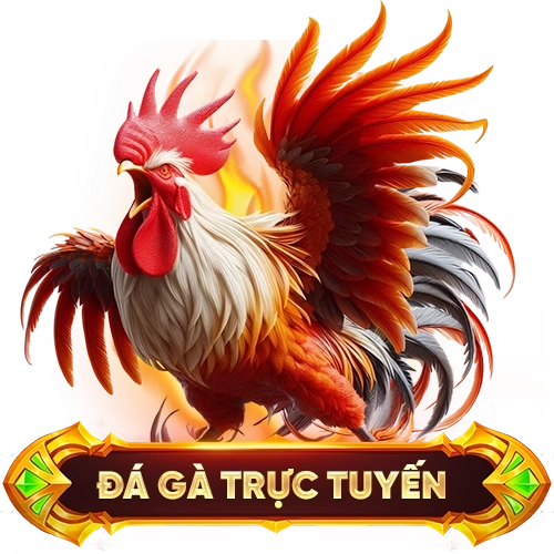 đá gà trực tuyến 33WIN